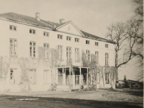 100 Jahre in Streiflichtern